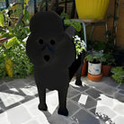 Black Poodle Planter