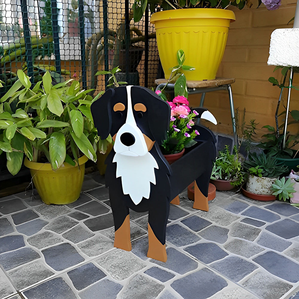 Bernese Bouvier planter