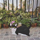 Black And White Cat Planter