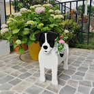 Black And White Jack Russell Planter